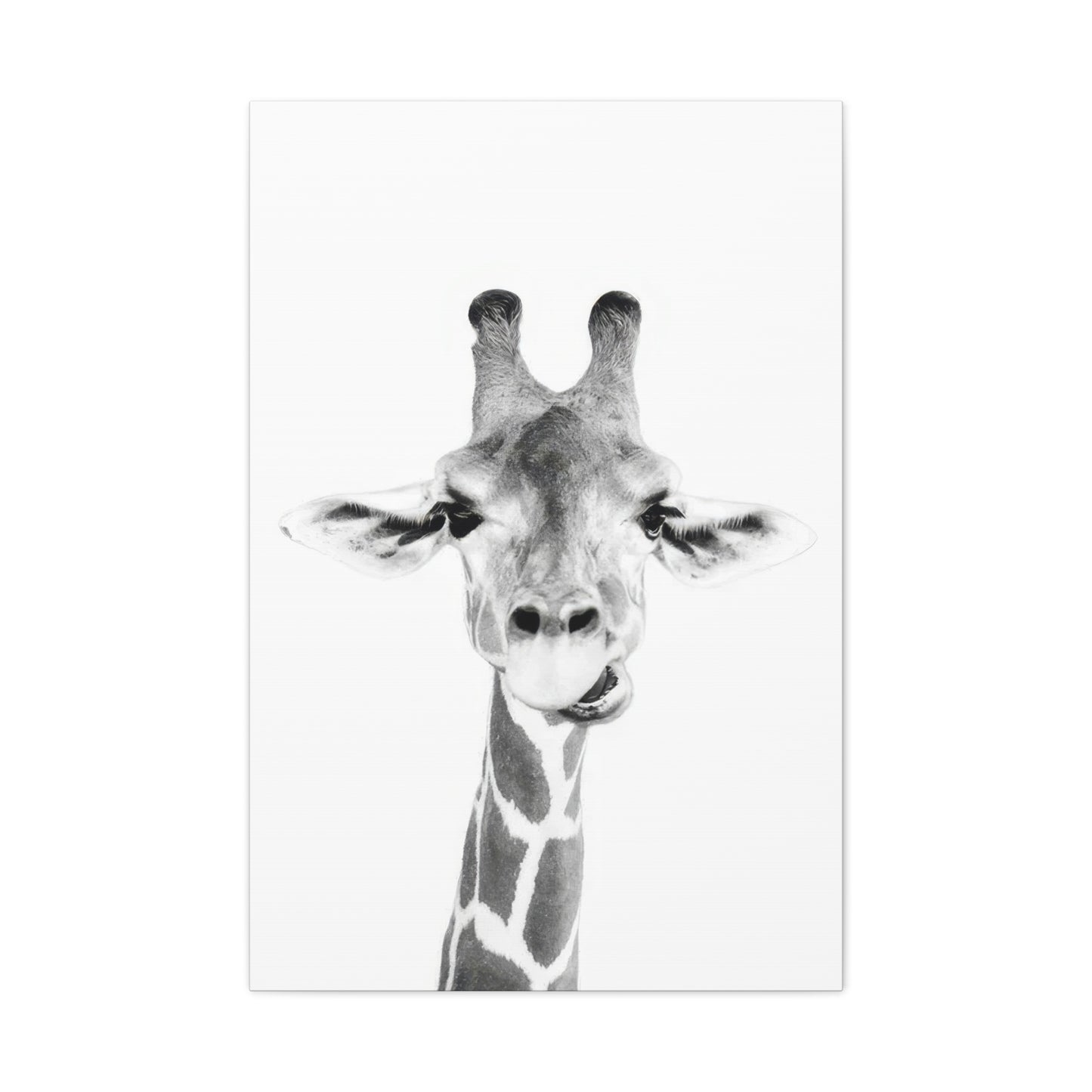 Kathrin Pienaar Baby Giraffe Wall Art & Canvas Prints