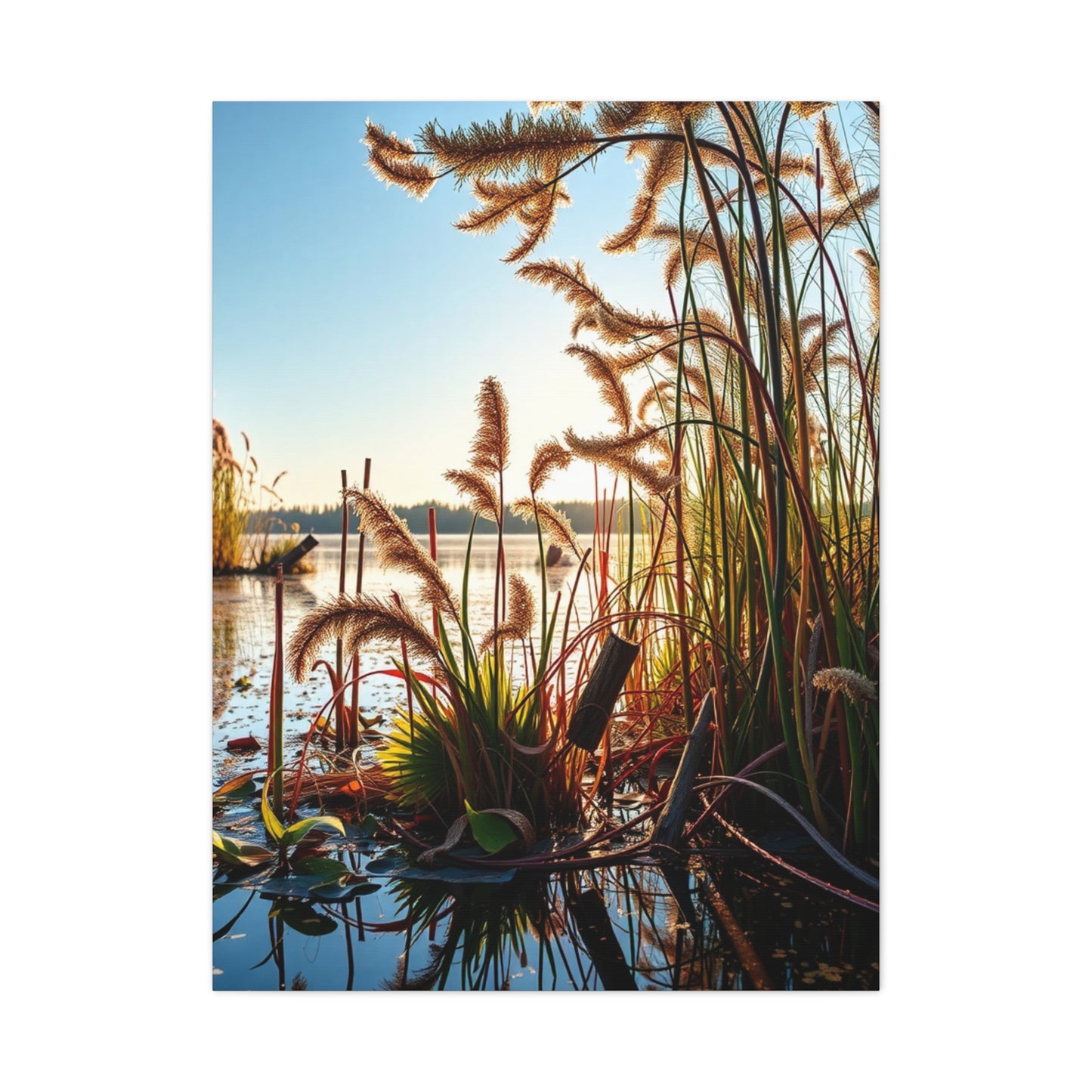 Vision Marsh & Swamp Art Art Wall Art & Canvas Print