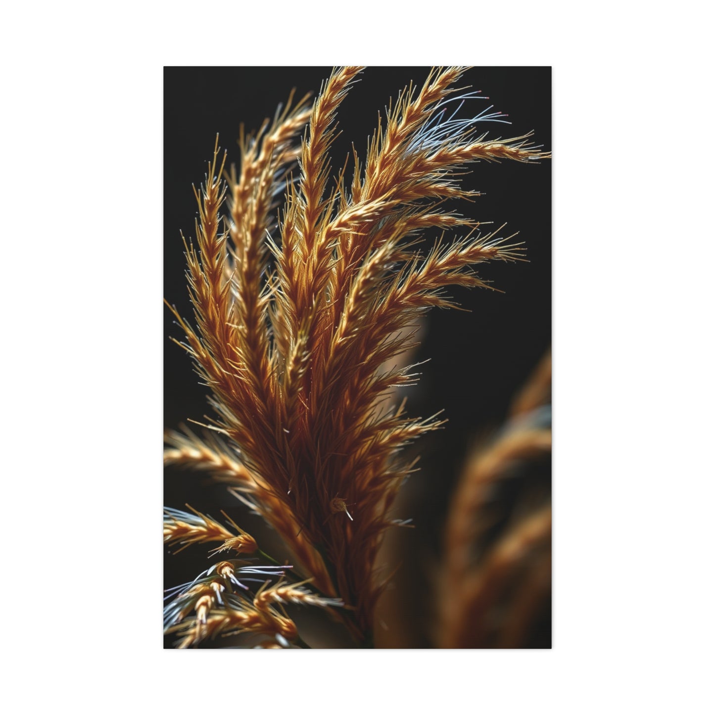 Natures Essence Canvas Wall Art & Canvas Print