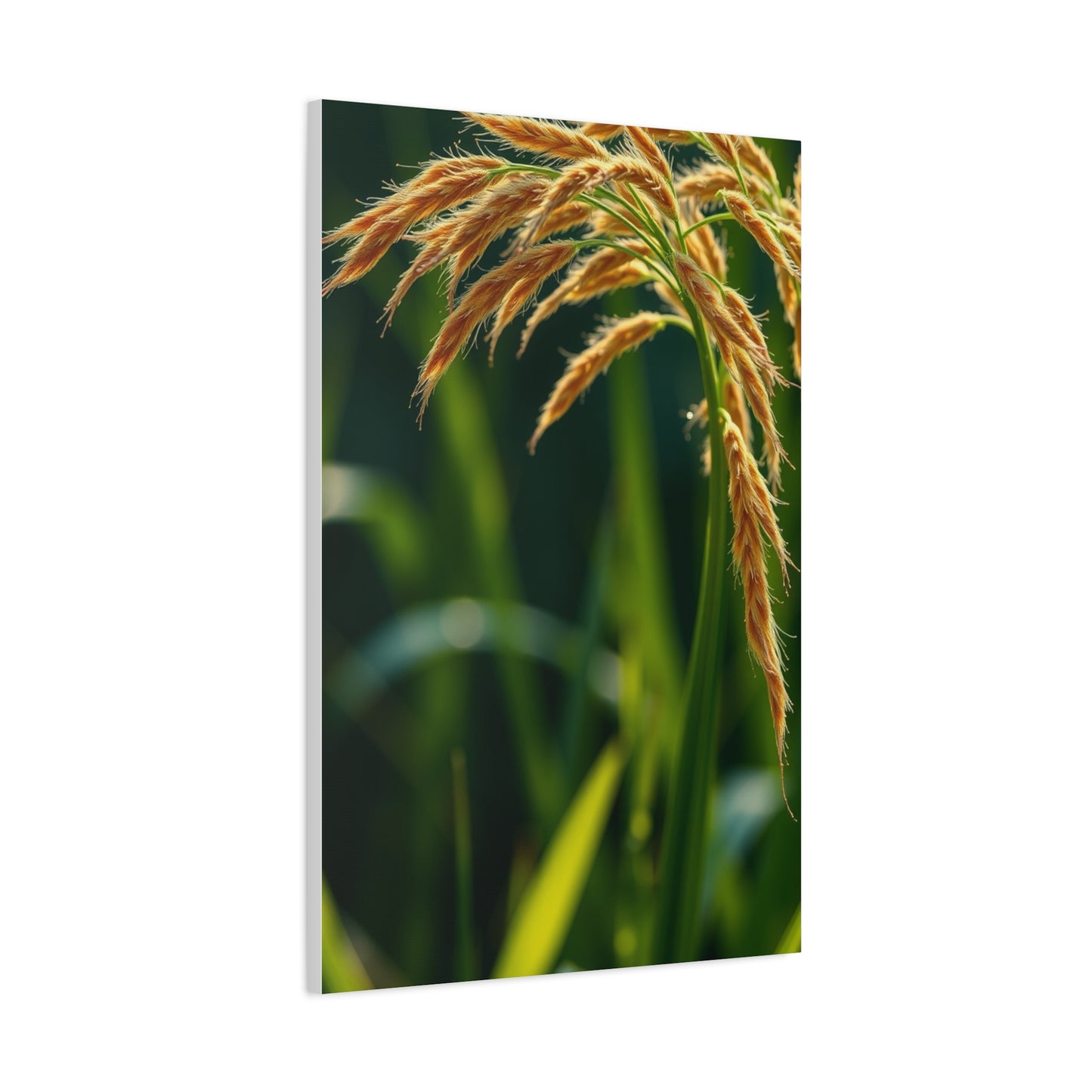 Exquisite Botanic Canvas Wall Art & Canvas Print