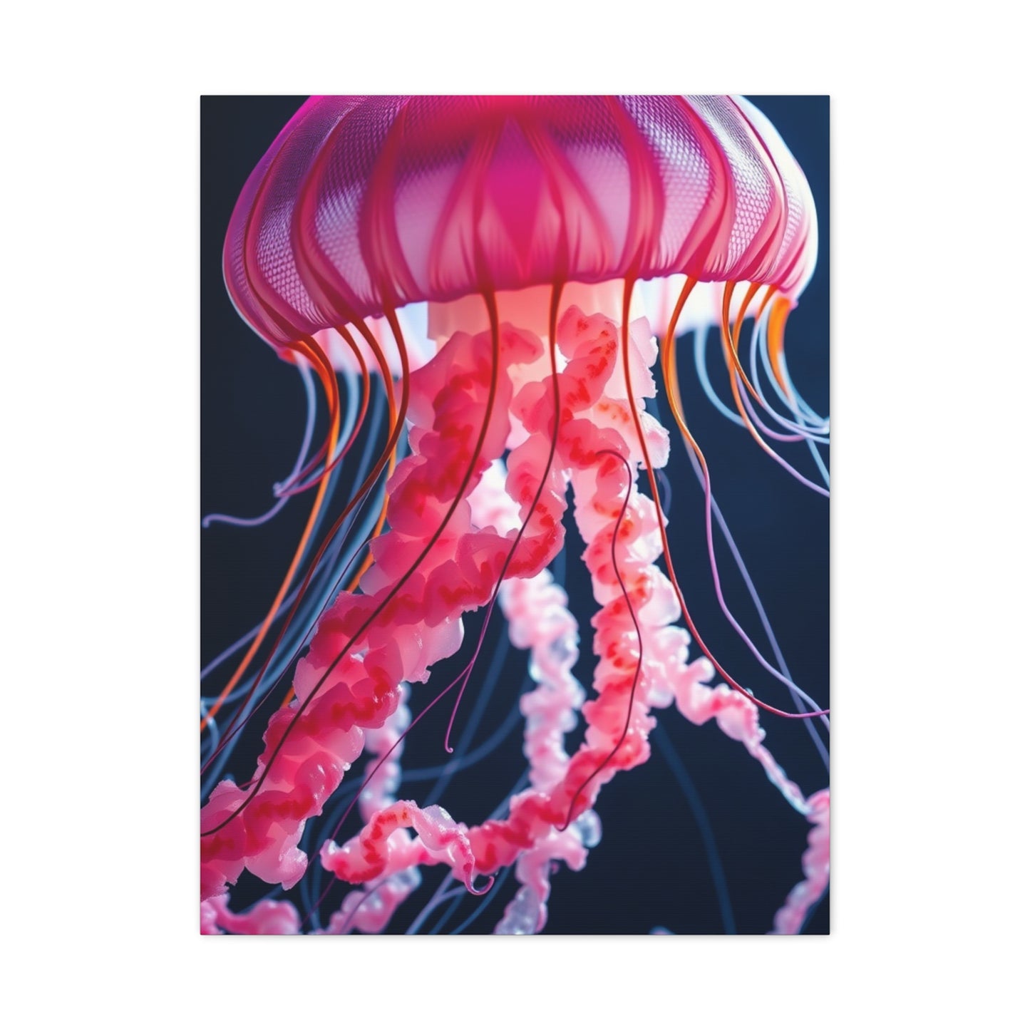 Jellyfish Art Supreme Gallery Wall Art & Canvas Print