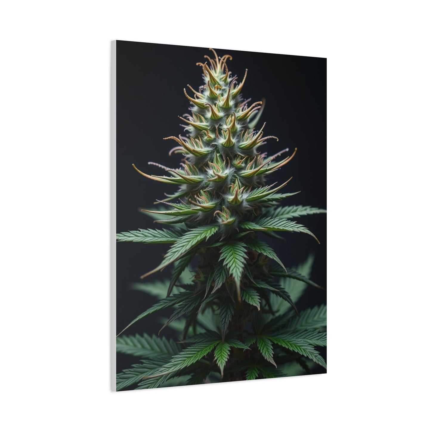 Lush Serenity Canvas Wall Art & Canvas Print