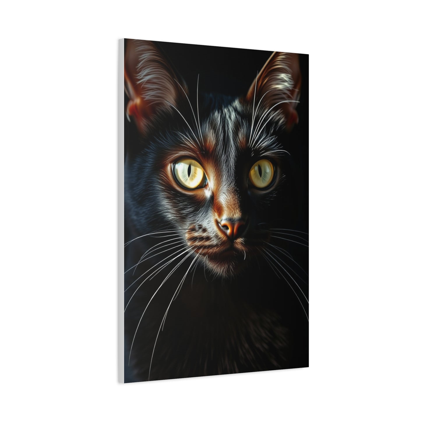 Black Cat Art Refined Canvas Wall Art & Canvas Print