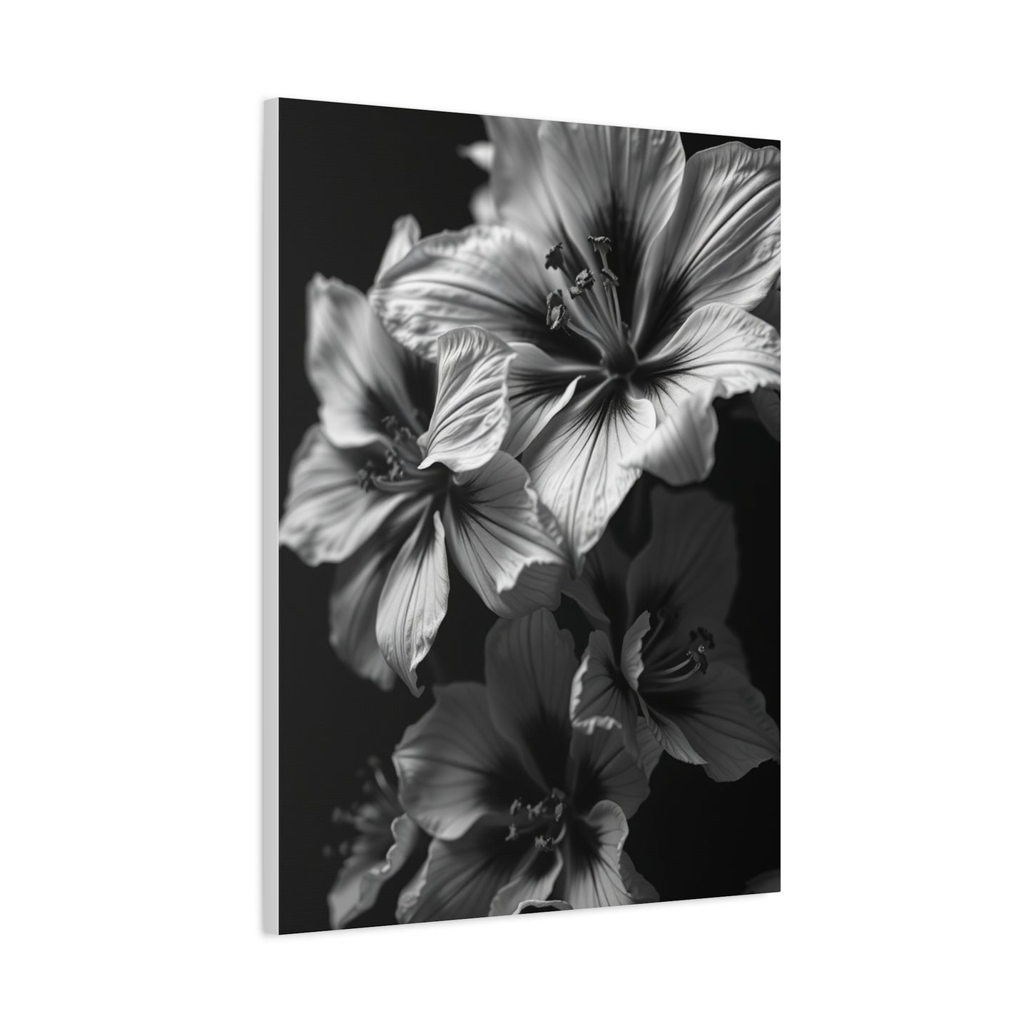 Noir & Blanc Floral Symphony Wall Art & Canvas Print