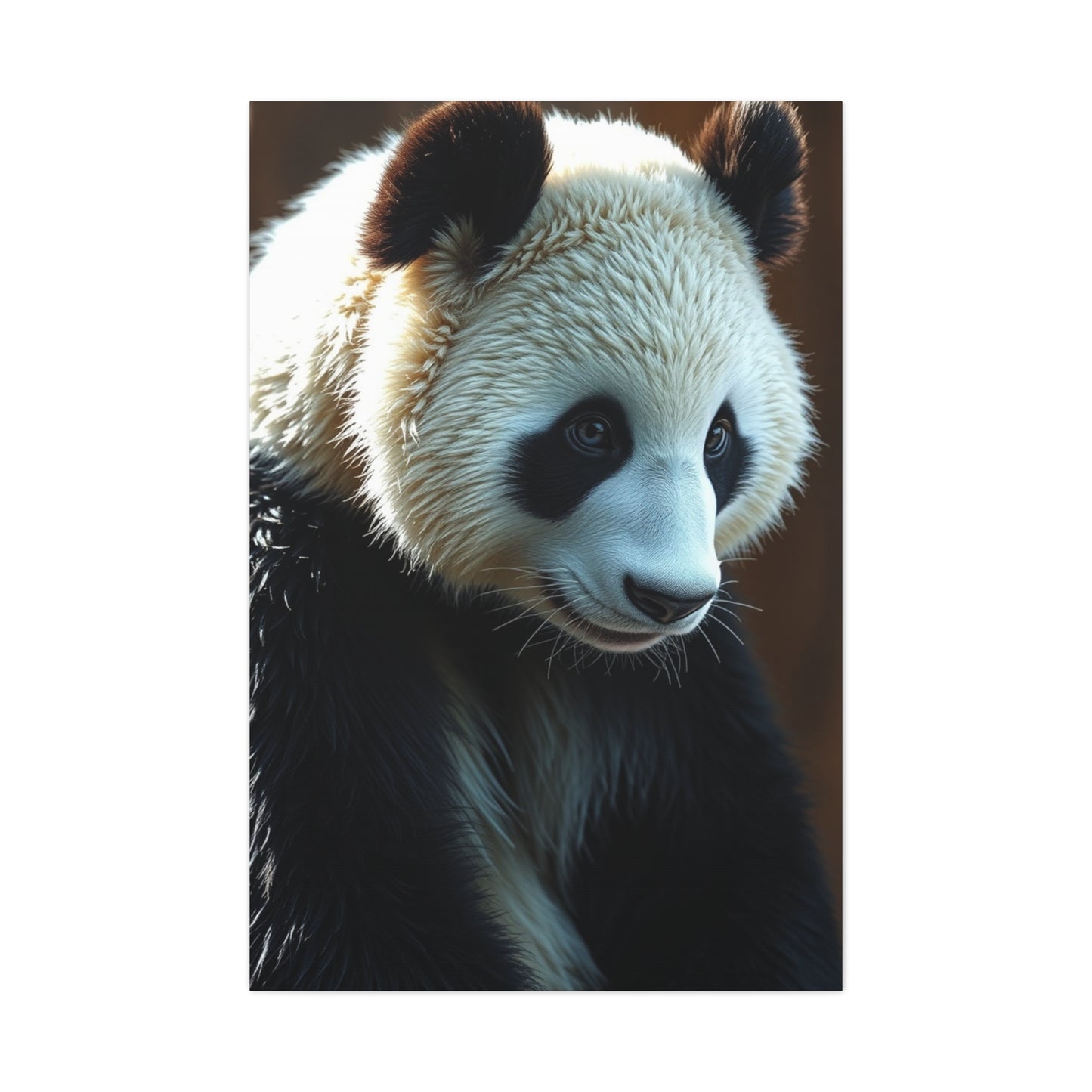 Panda Art Luxury Canvas Wall Art & Canvas Print