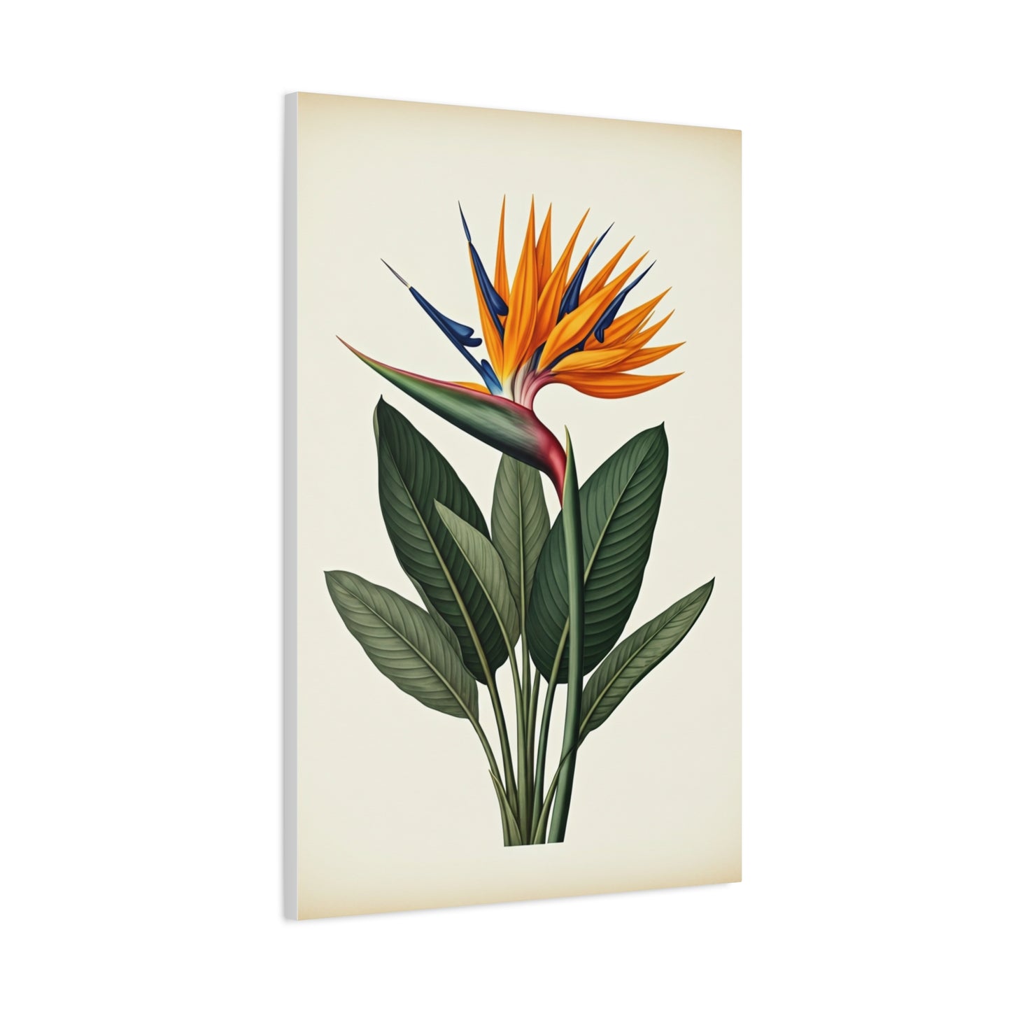 Tropical Bird of Paradise Illustration Wall Art & Canvas Prints
