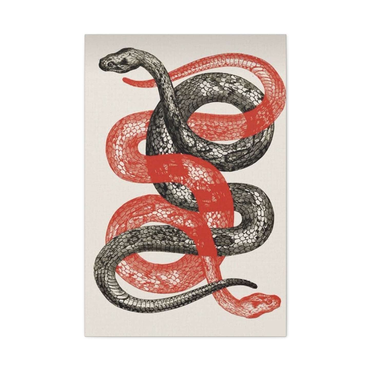 Red And Black Snake Wall Art & Canvas Prints