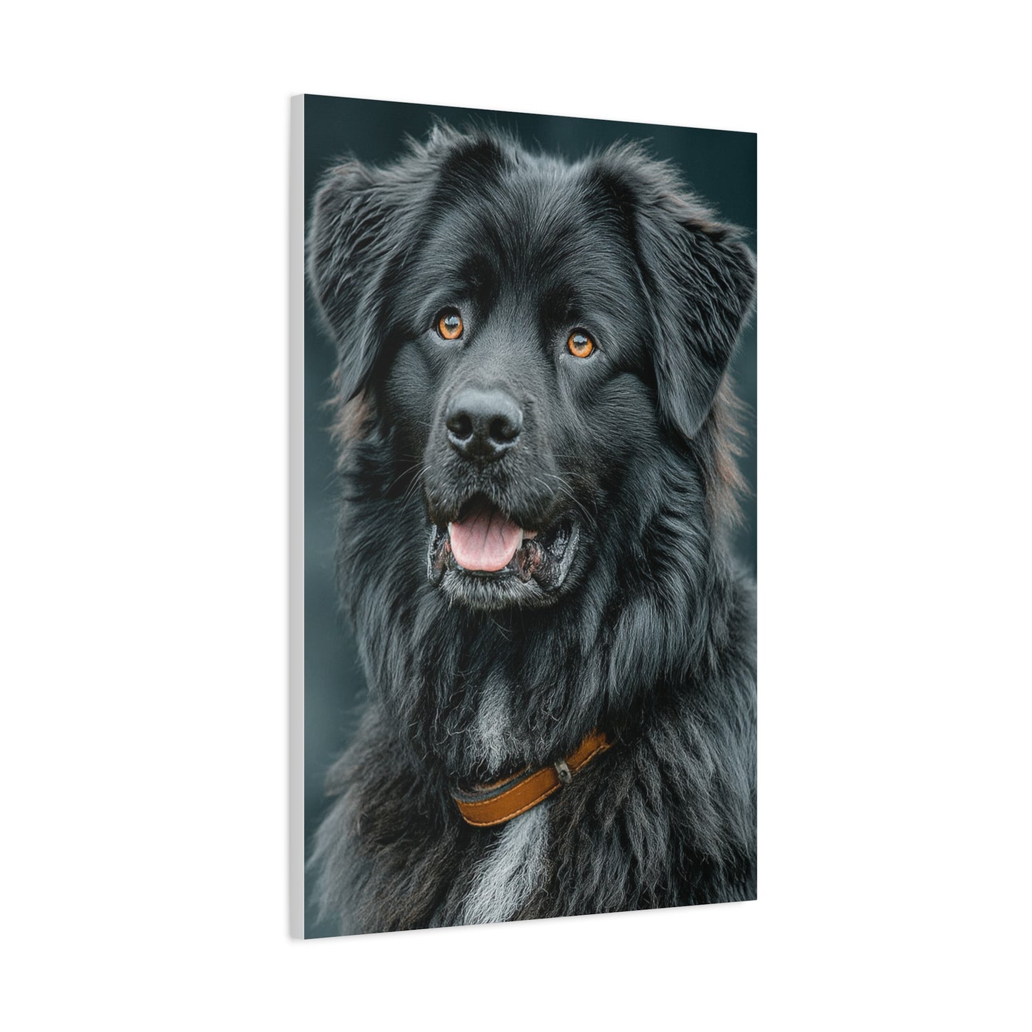 Noble Newfoundland Portrait Wall Art & Canvas Print