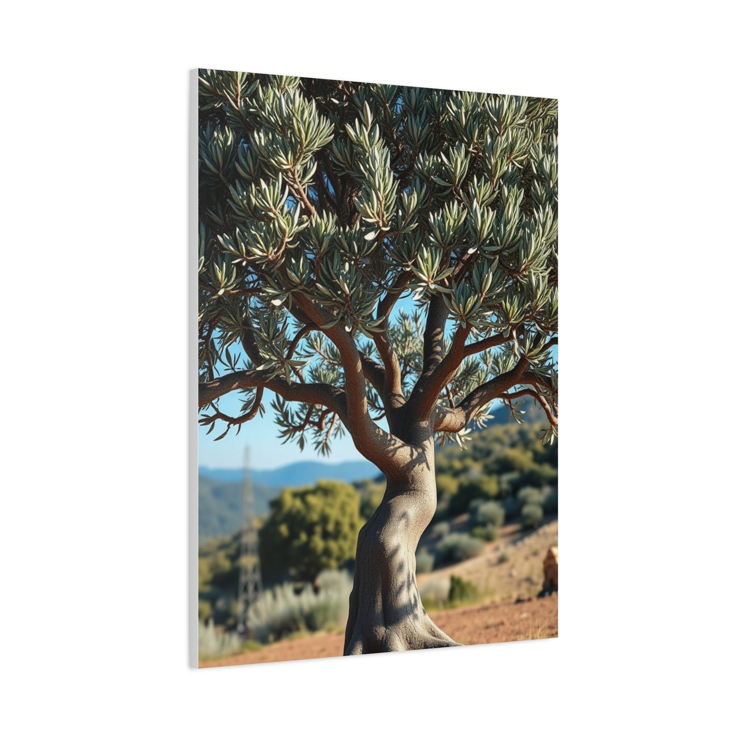 Masterpiece Olive Tree Art Vision Wall Art & Canvas Print