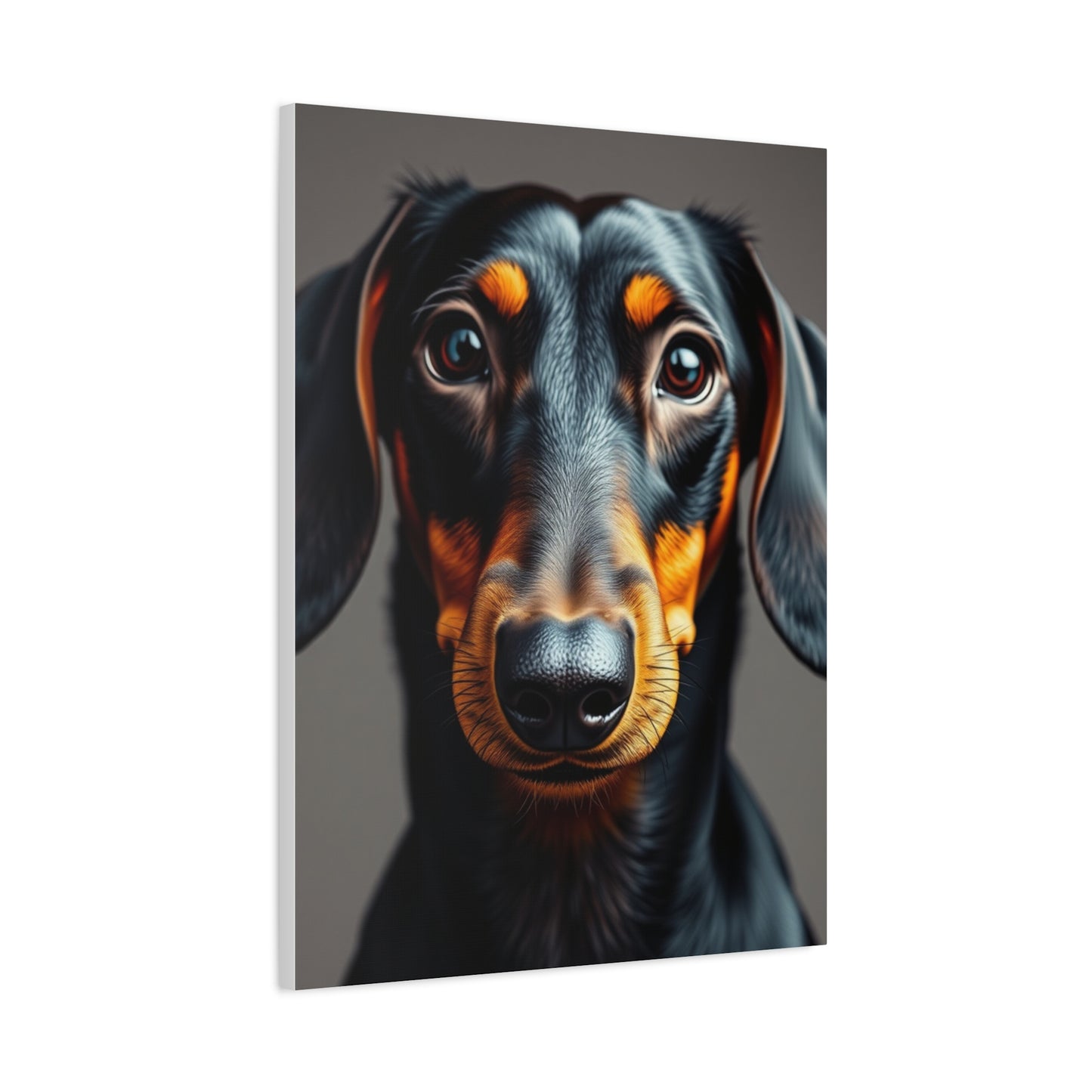 Dachshund Art Luxury Canvas Wall Art & Canvas Print