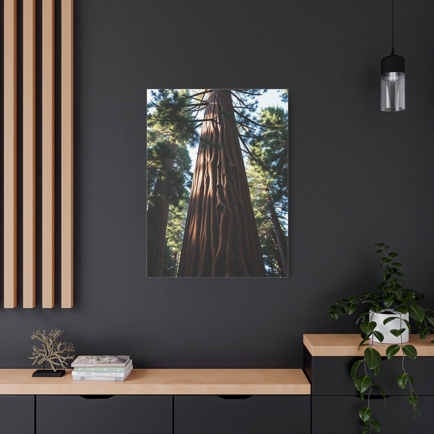 Redwood Tree Art Supreme Gallery Wall Art & Canvas Print