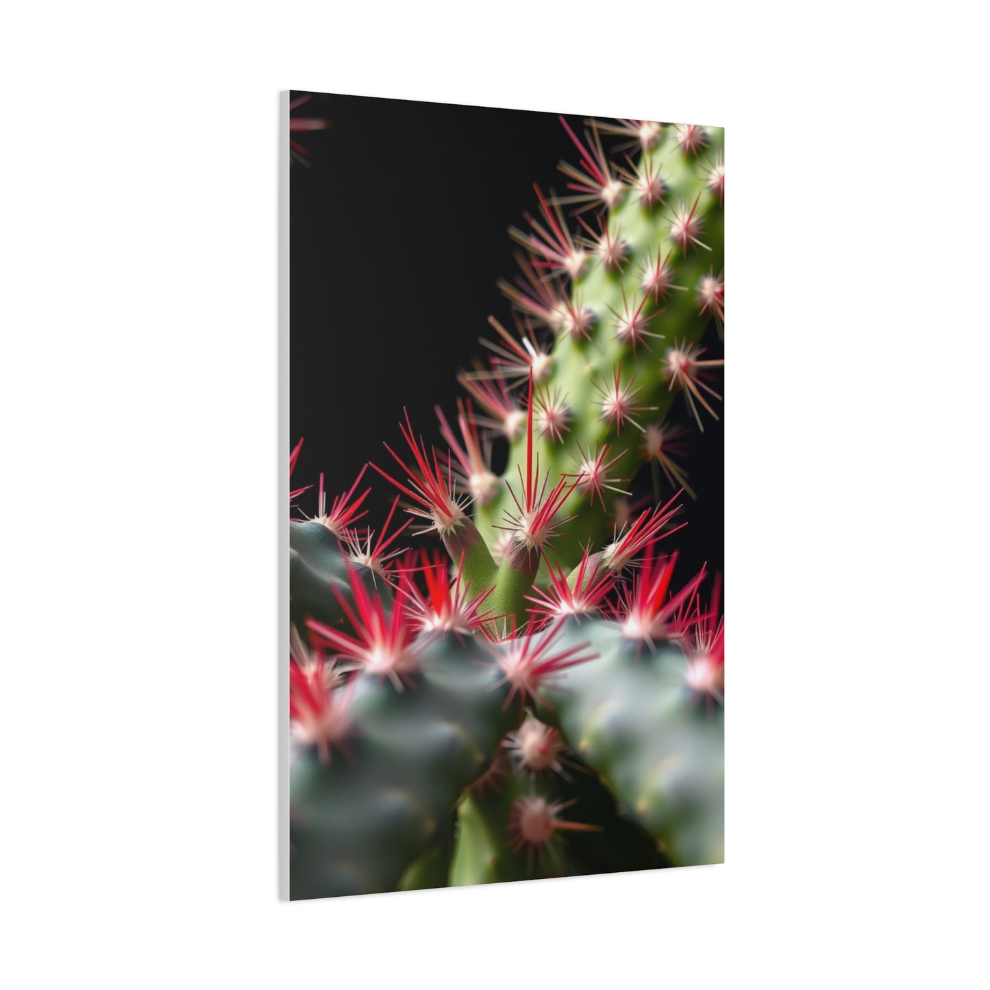 Succulent Symphony Wall Art Wall Art & Canvas Print