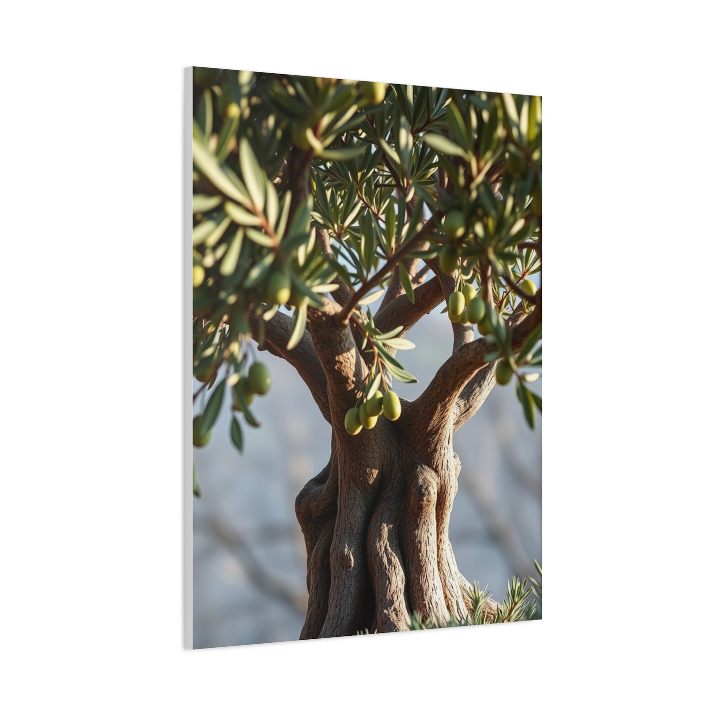 Elite Olive Tree Art Vision Wall Art & Canvas Print