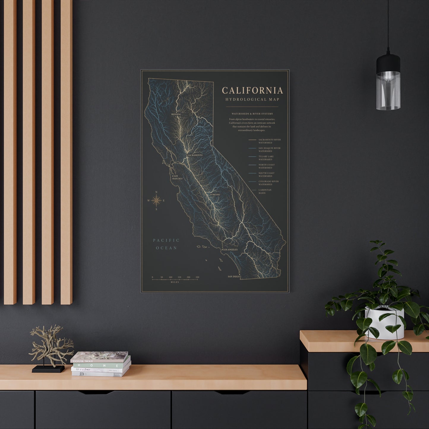 California Hydrological Map Wall Art & Canvas Print
