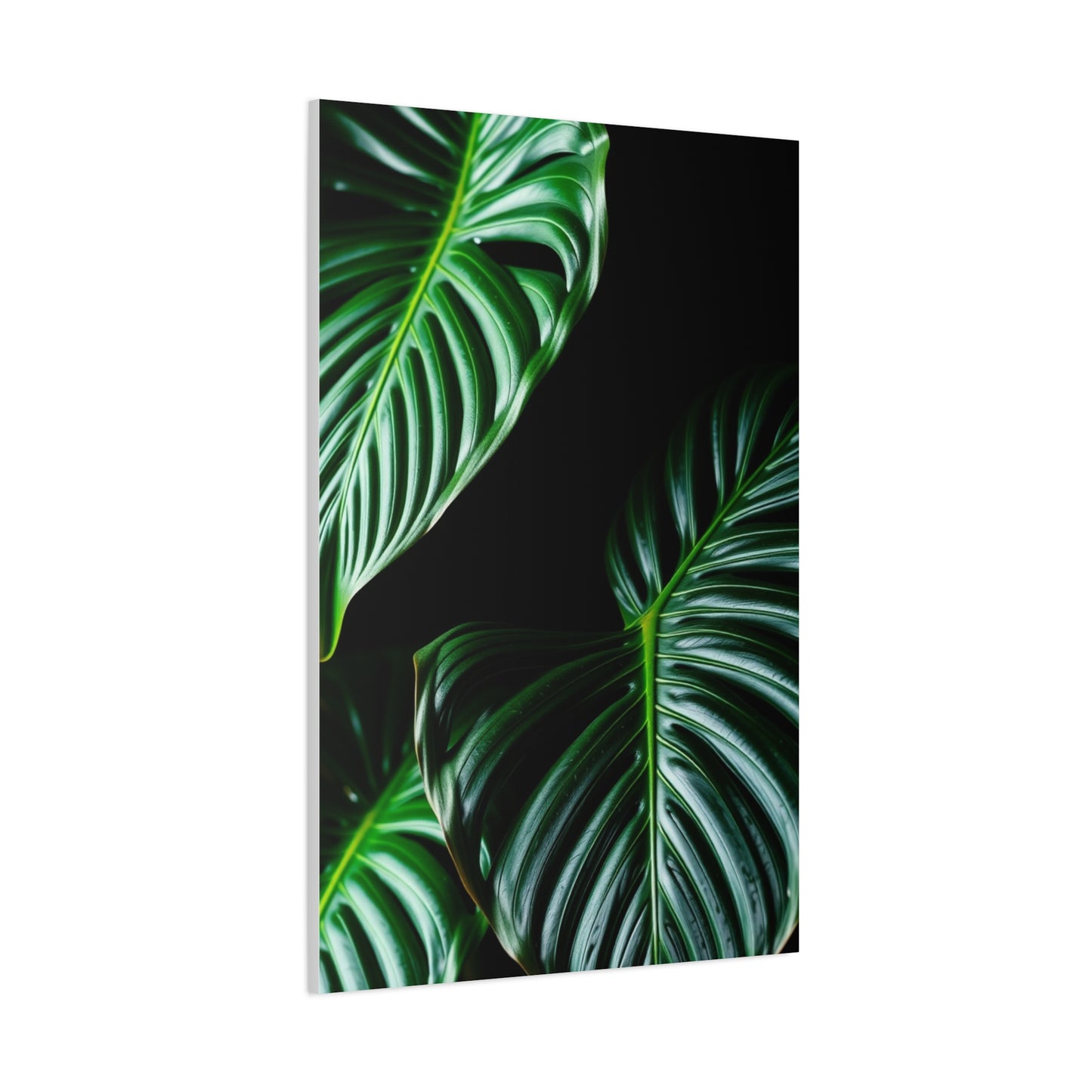 Collection Monstera Plant Art Art Wall Art & Canvas Print