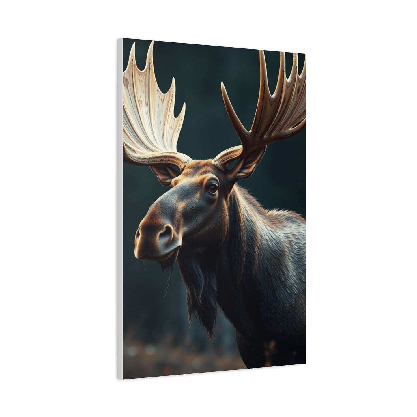 Moose Art Refined Canvas Wall Art & Canvas Print