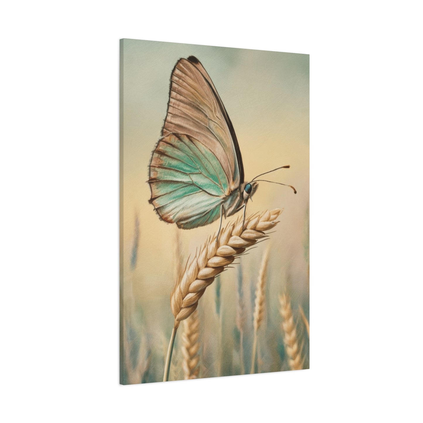 Butterfly on Wheat Crop Painting Wall Art & Canvas Prints