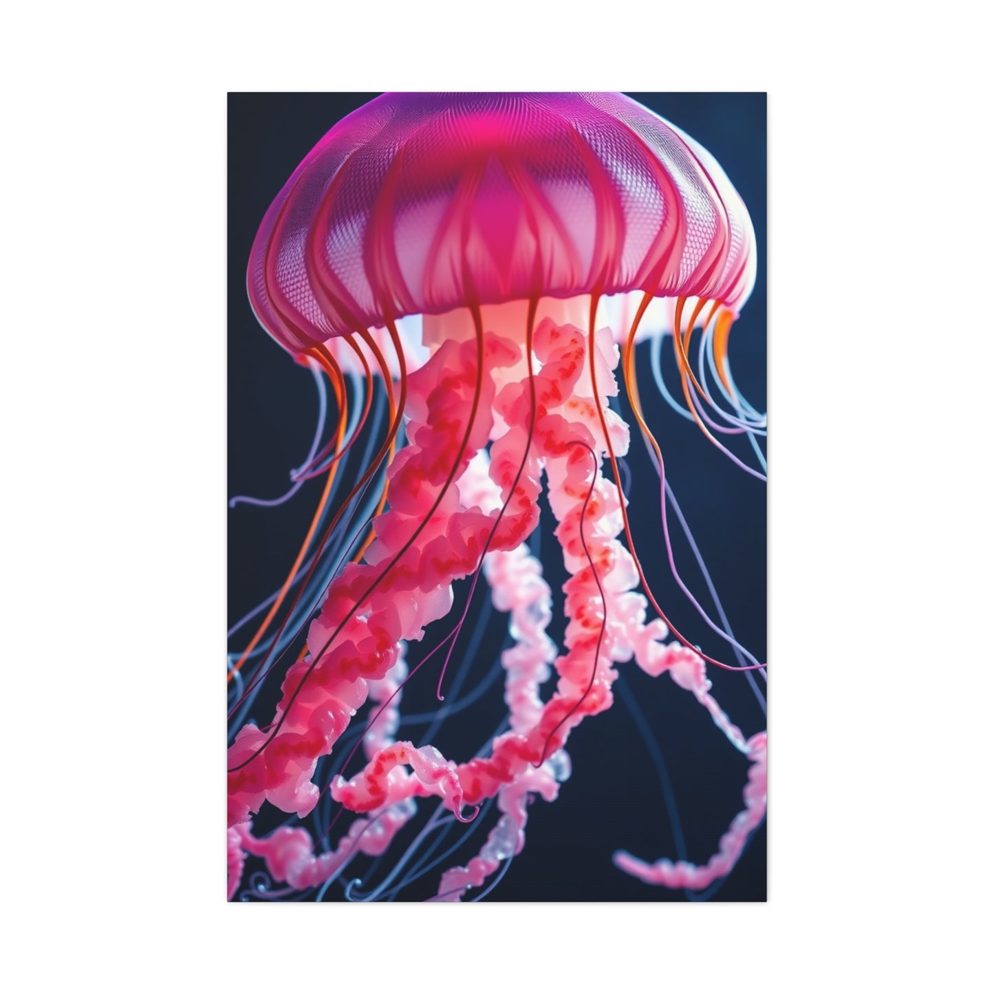 Jellyfish Art Supreme Gallery Wall Art & Canvas Print