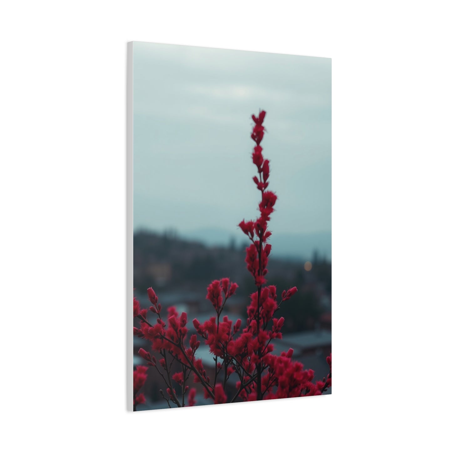 Rosy Elegance Wall Art Wall Art & Canvas Print