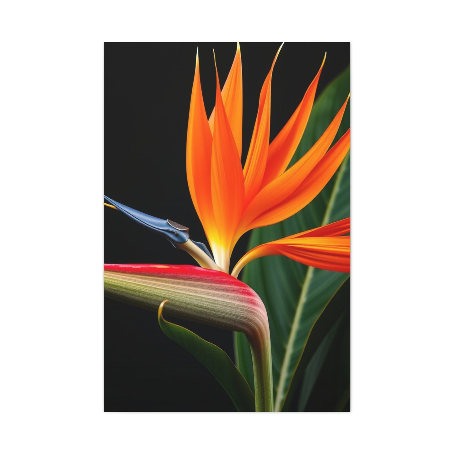 Bird of Paradise Plant Art Supreme Gallery Wall Art & Canvas Print