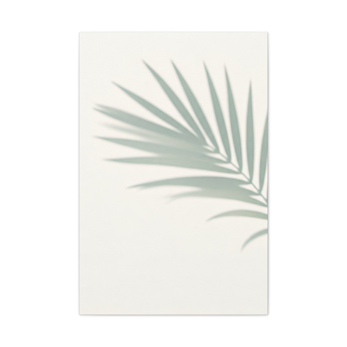 Soft Palm Frond Shadow Minimal Wall Art & Canvas Prints