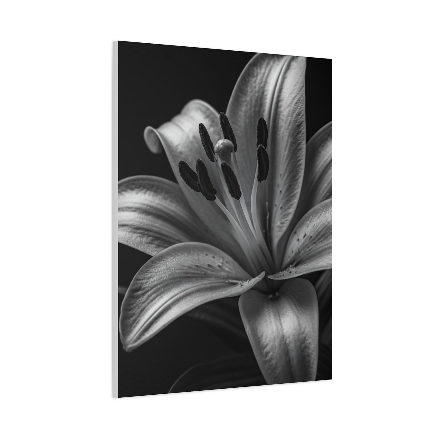 Lavender Silhouette in Low Light Wall Art & Canvas Prints