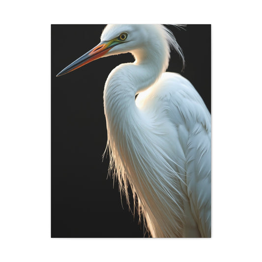 Supreme Egret Art Collection Wall Art & Canvas Print