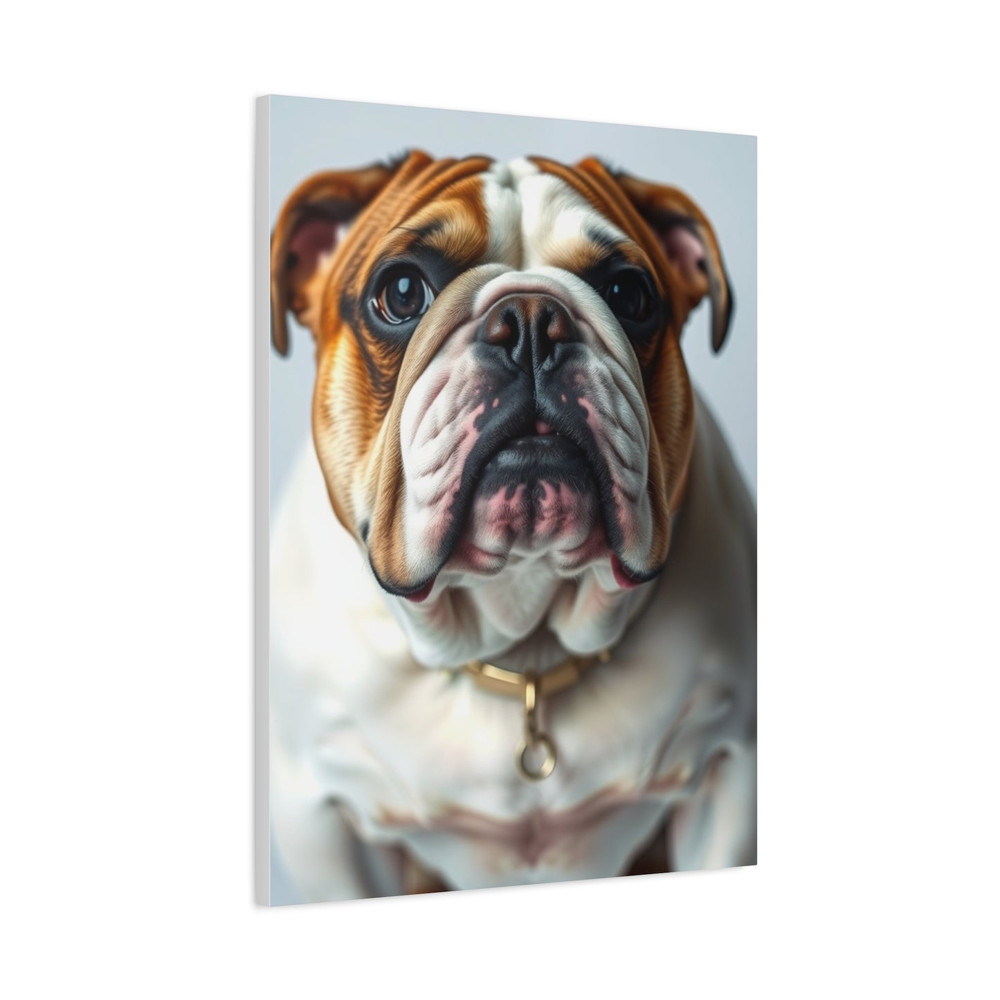 Supreme Bulldog Art Collection Wall Art & Canvas Print