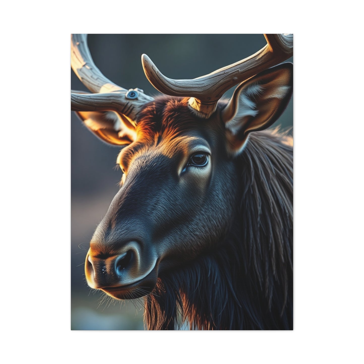 Elk Art Supreme Gallery Wall Art & Canvas Print