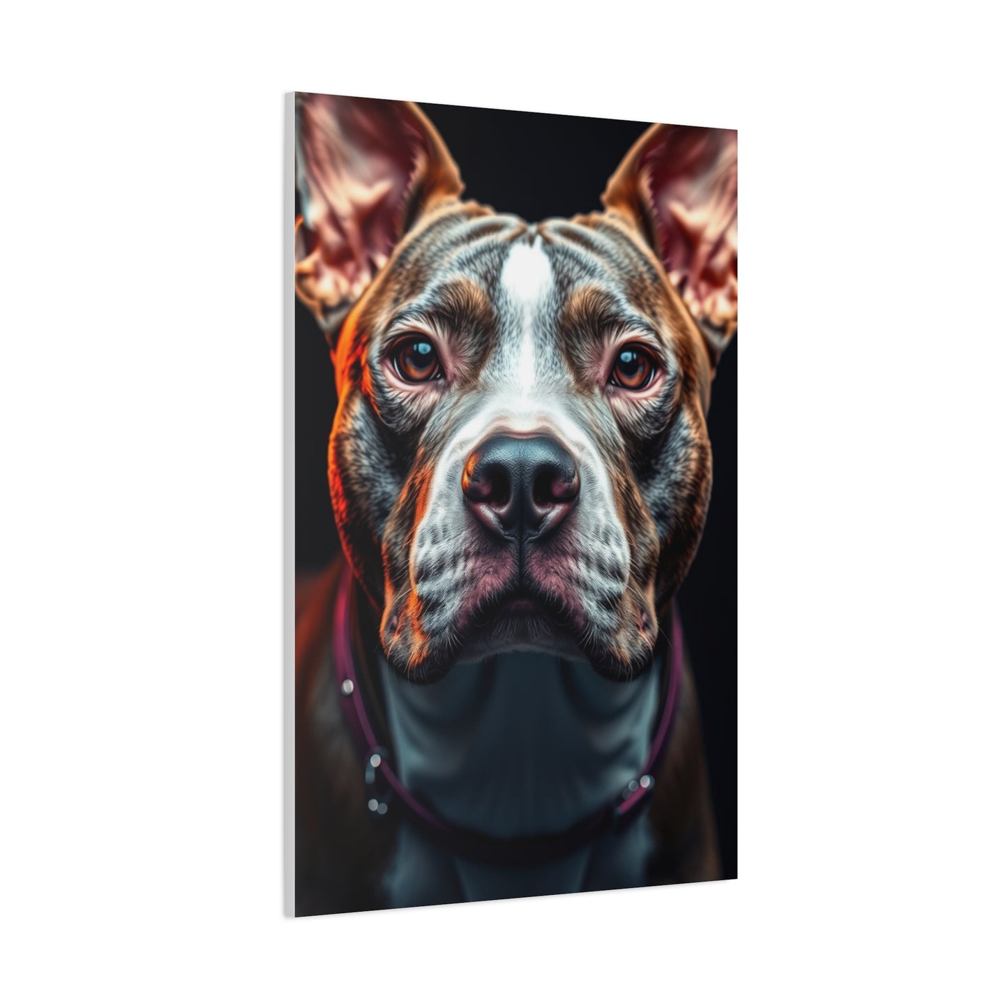 Collection Pit Bull Art Art Wall Art & Canvas Print