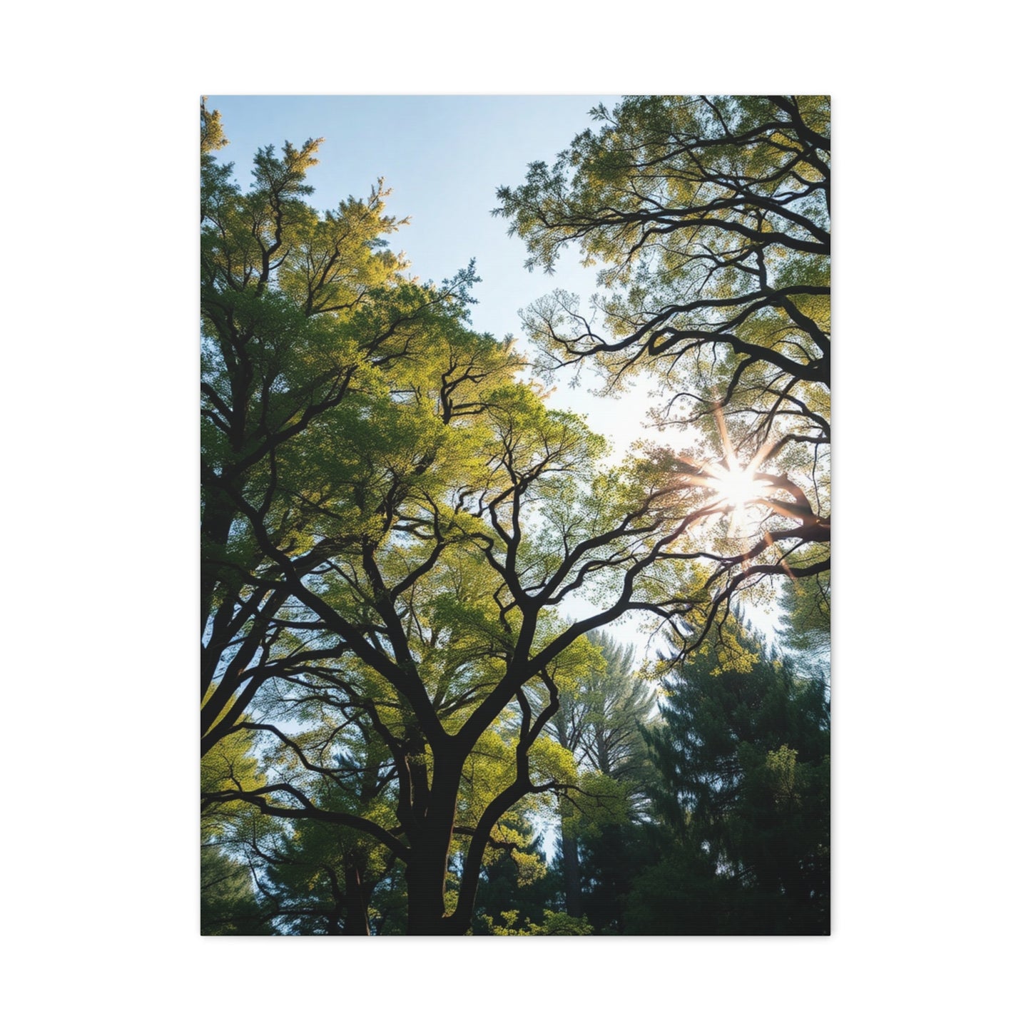 Timeless Woodland Tapestry Wall Art & Canvas Print