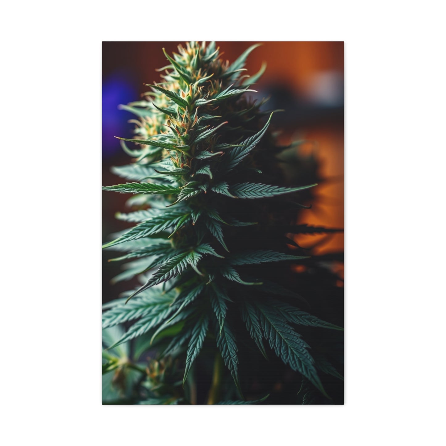 Herbal Opulence Wall Décor Wall Art & Canvas Print