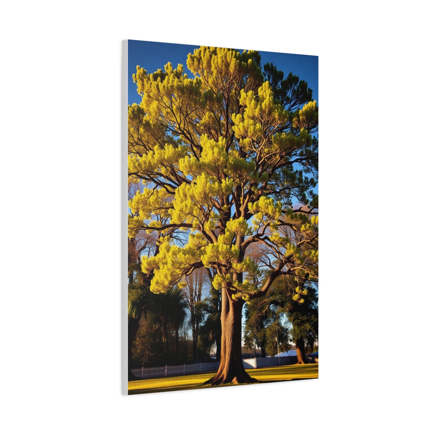 Lush Canopy Collection Wall Art & Canvas Print