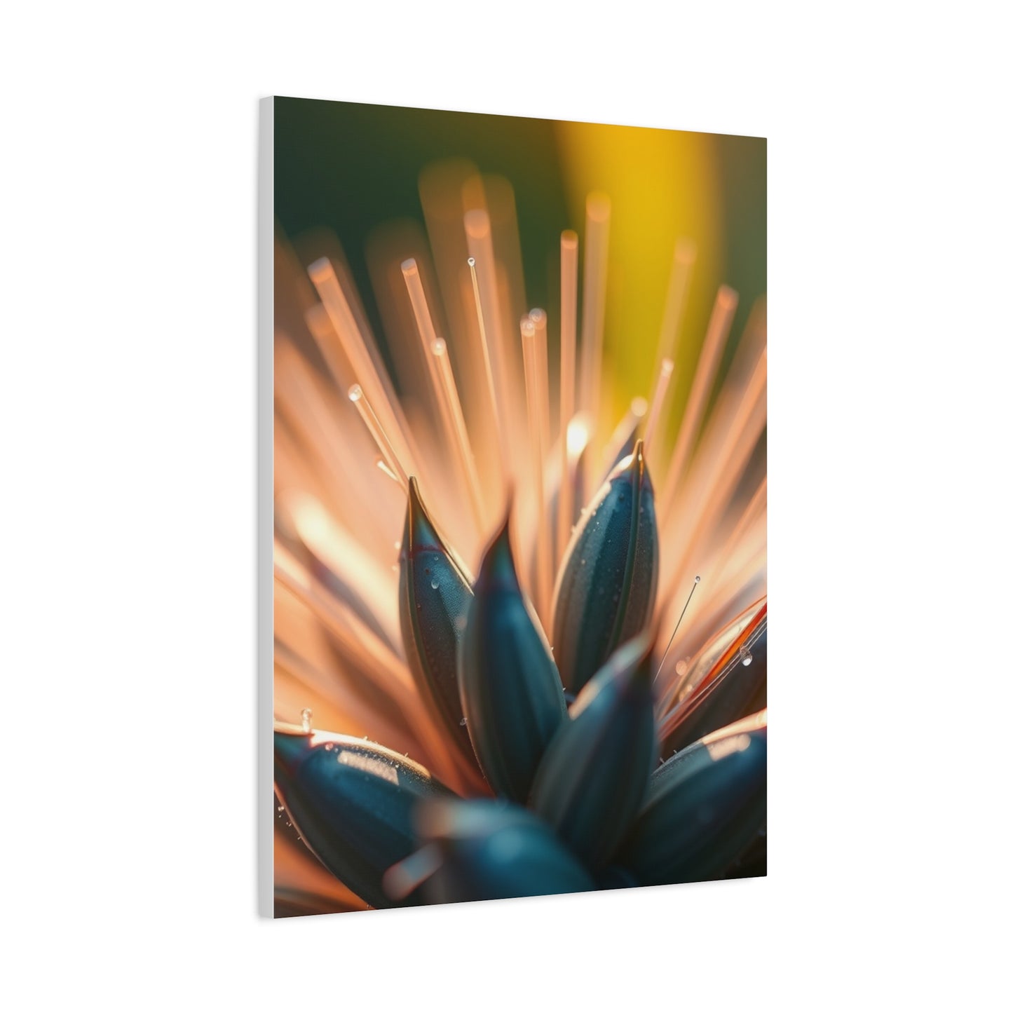 Vision Nature Closeups Art Art Wall Art & Canvas Print