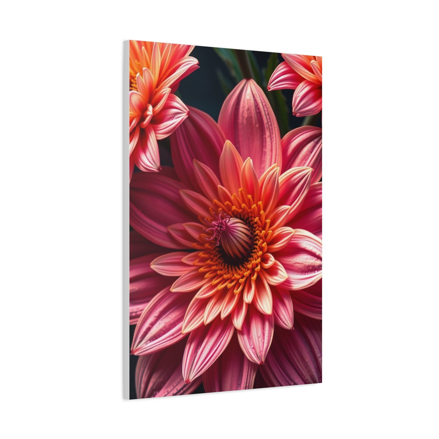 Floral Reverie Collection