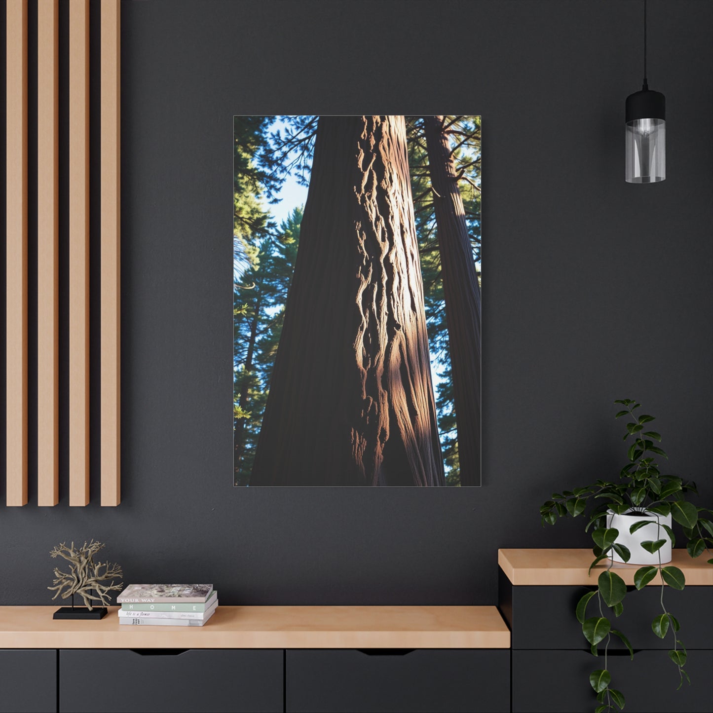 Redwood Tree Art Luxury Canvas Wall Art & Canvas Print