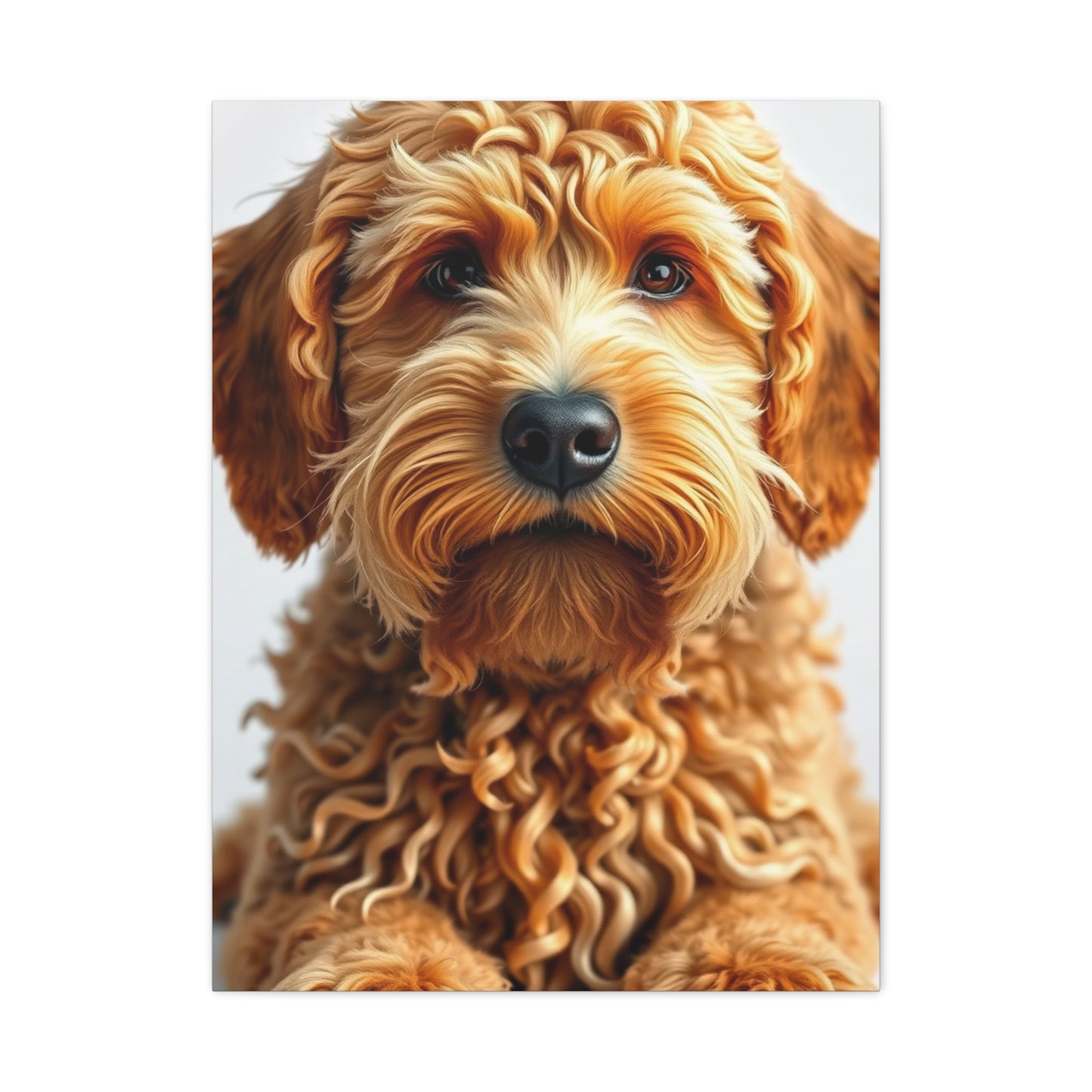 Vision Golden Doodle Art Art Wall Art & Canvas Print