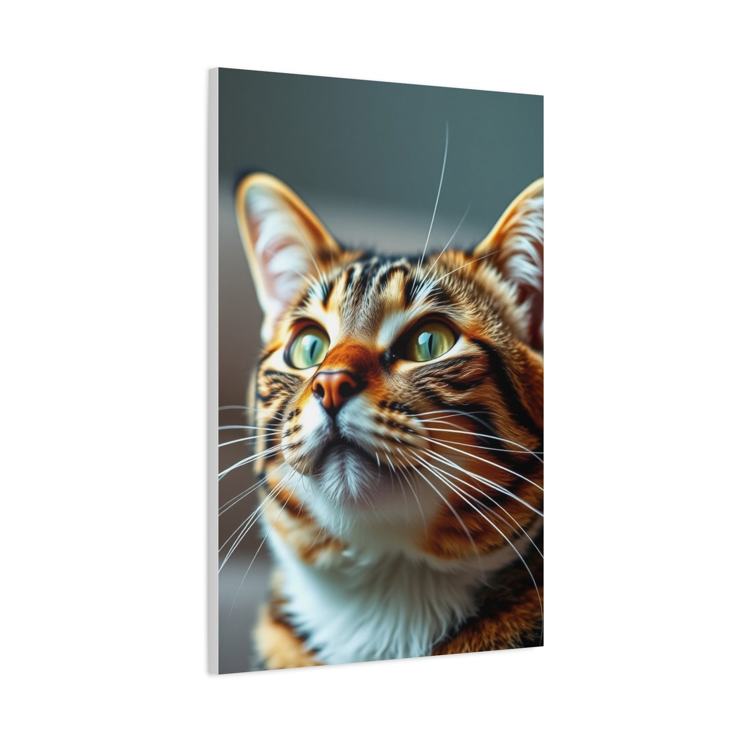 Supreme Tabby Cat Art Collection Wall Art & Canvas Print