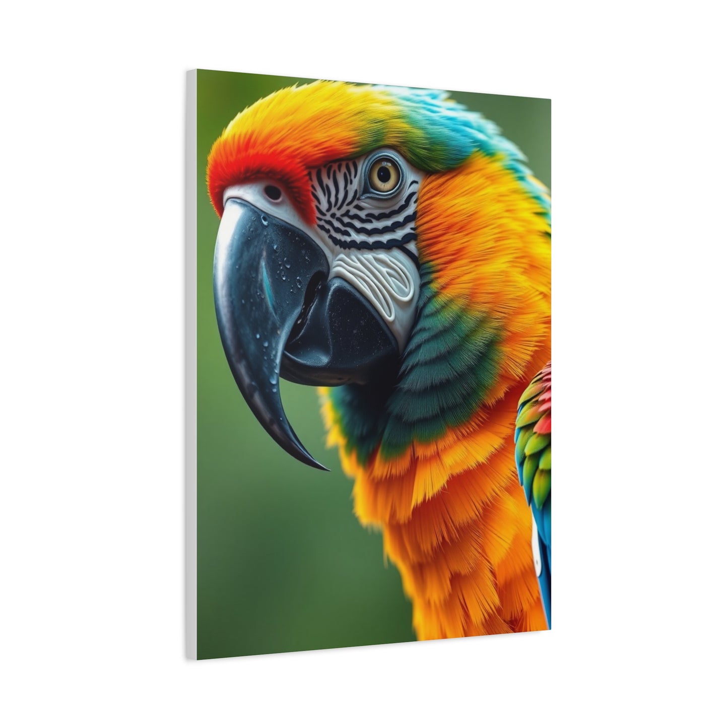 Parrot Art Supreme Gallery Wall Art & Canvas Print