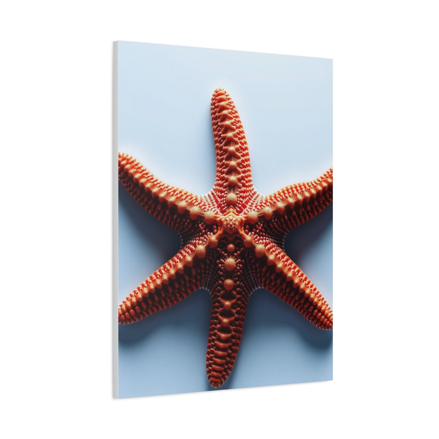Starfish Art Supreme Gallery Wall Art & Canvas Print