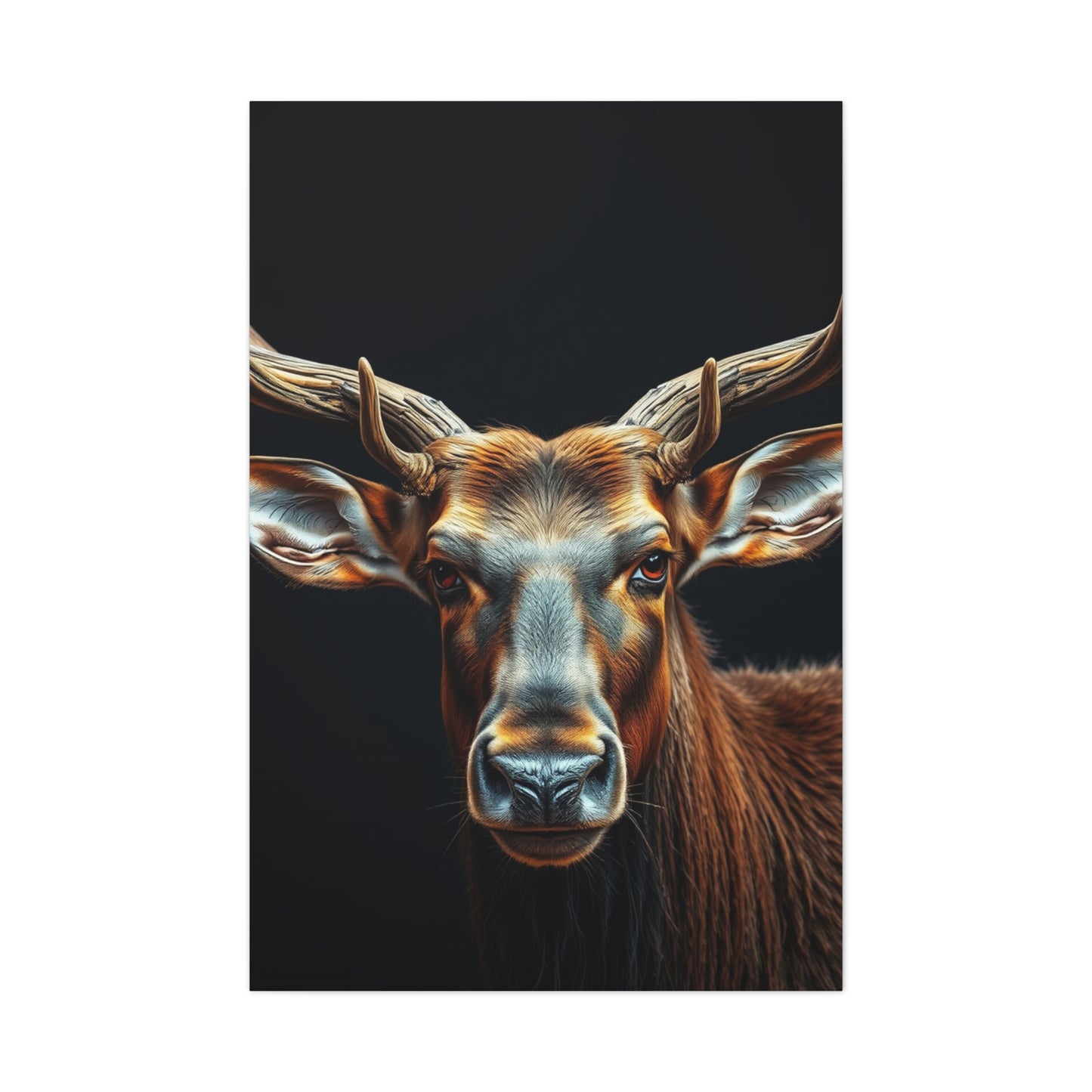 Supreme Elk Art Collection Wall Art & Canvas Print