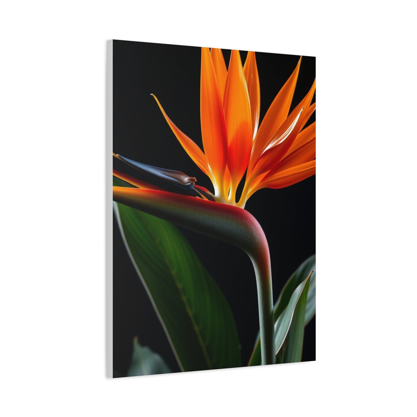 Masterpiece Bird of Paradise Plant Art Vision Wall Art & Canvas Print