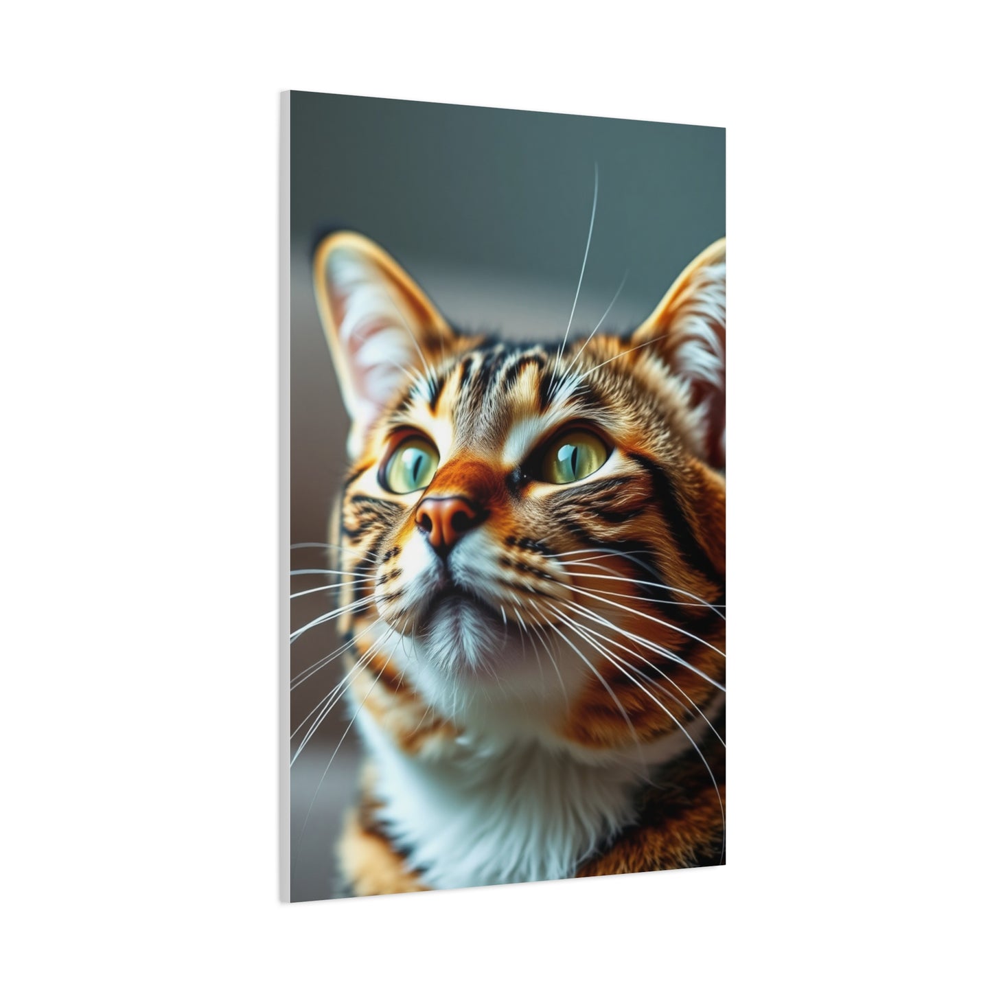 Supreme Tabby Cat Art Collection Wall Art & Canvas Print