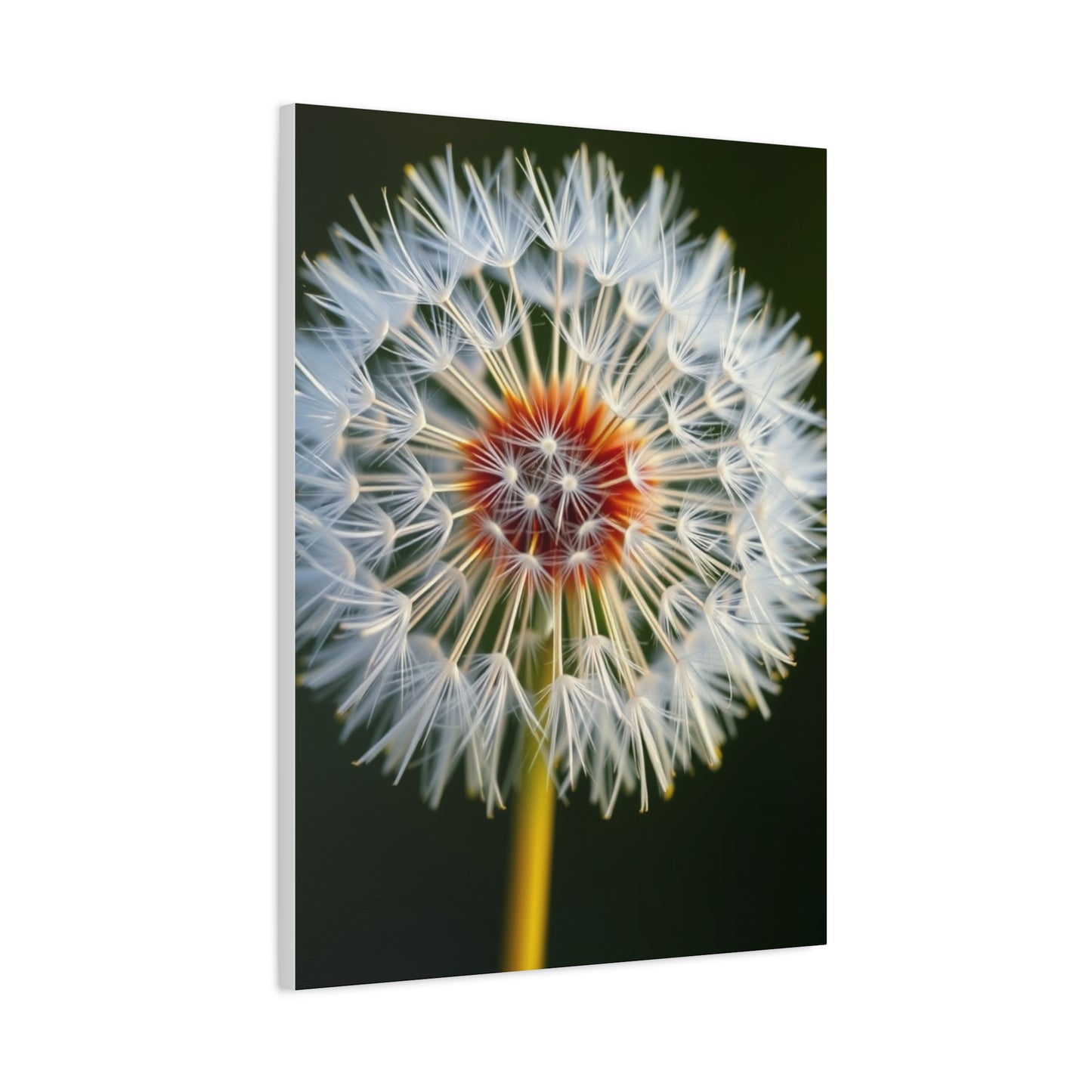 Dandelion Flower Art Supreme Gallery Wall Art & Canvas Print