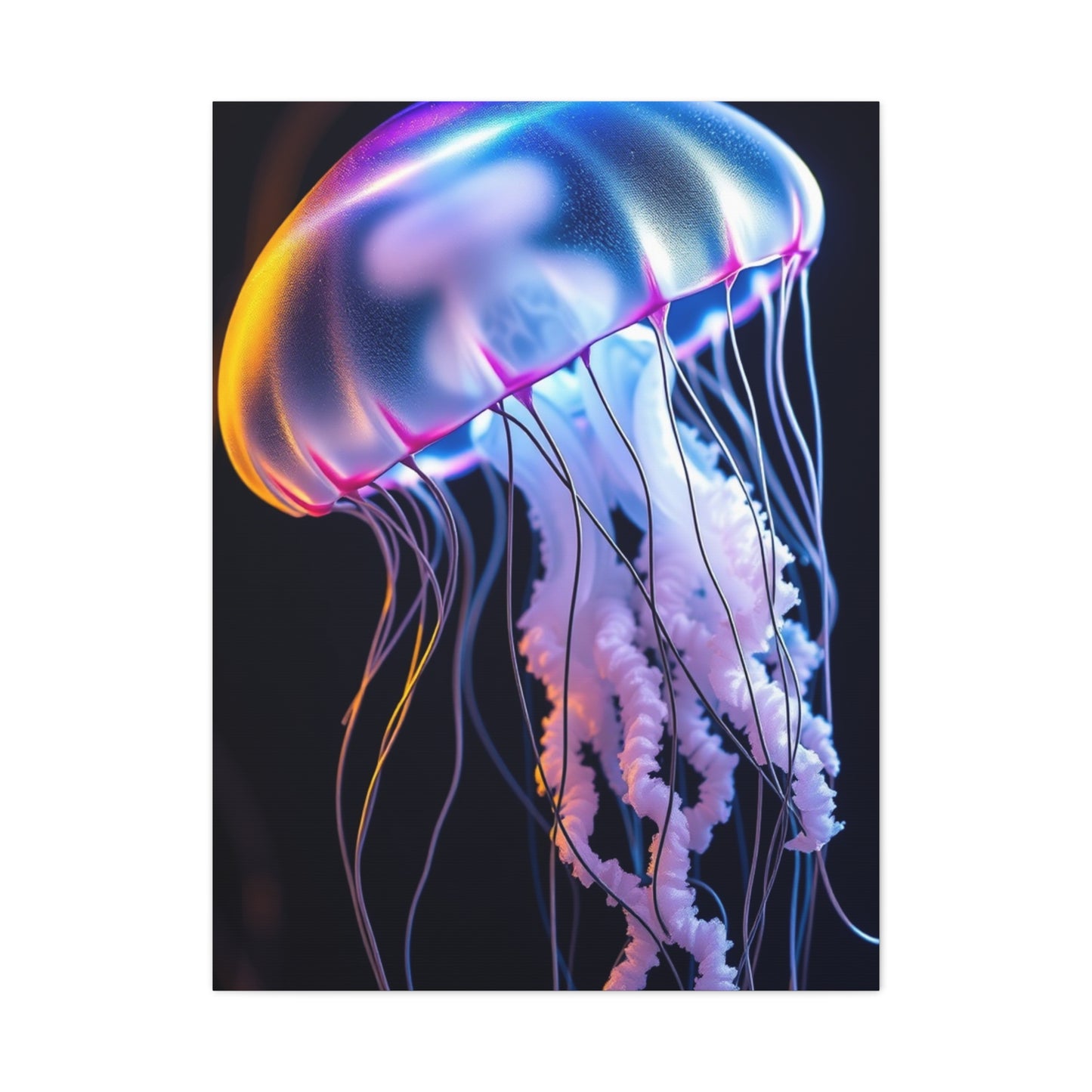 Collection Jellyfish Art Art Wall Art & Canvas Print