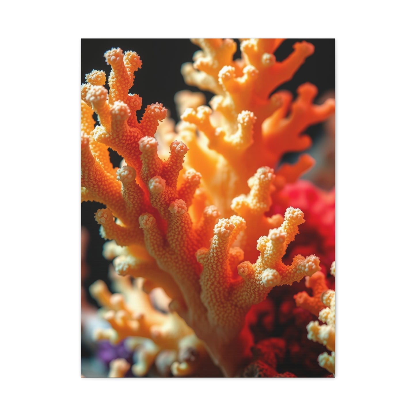 Elite Coral Art Vision Wall Art & Canvas Print