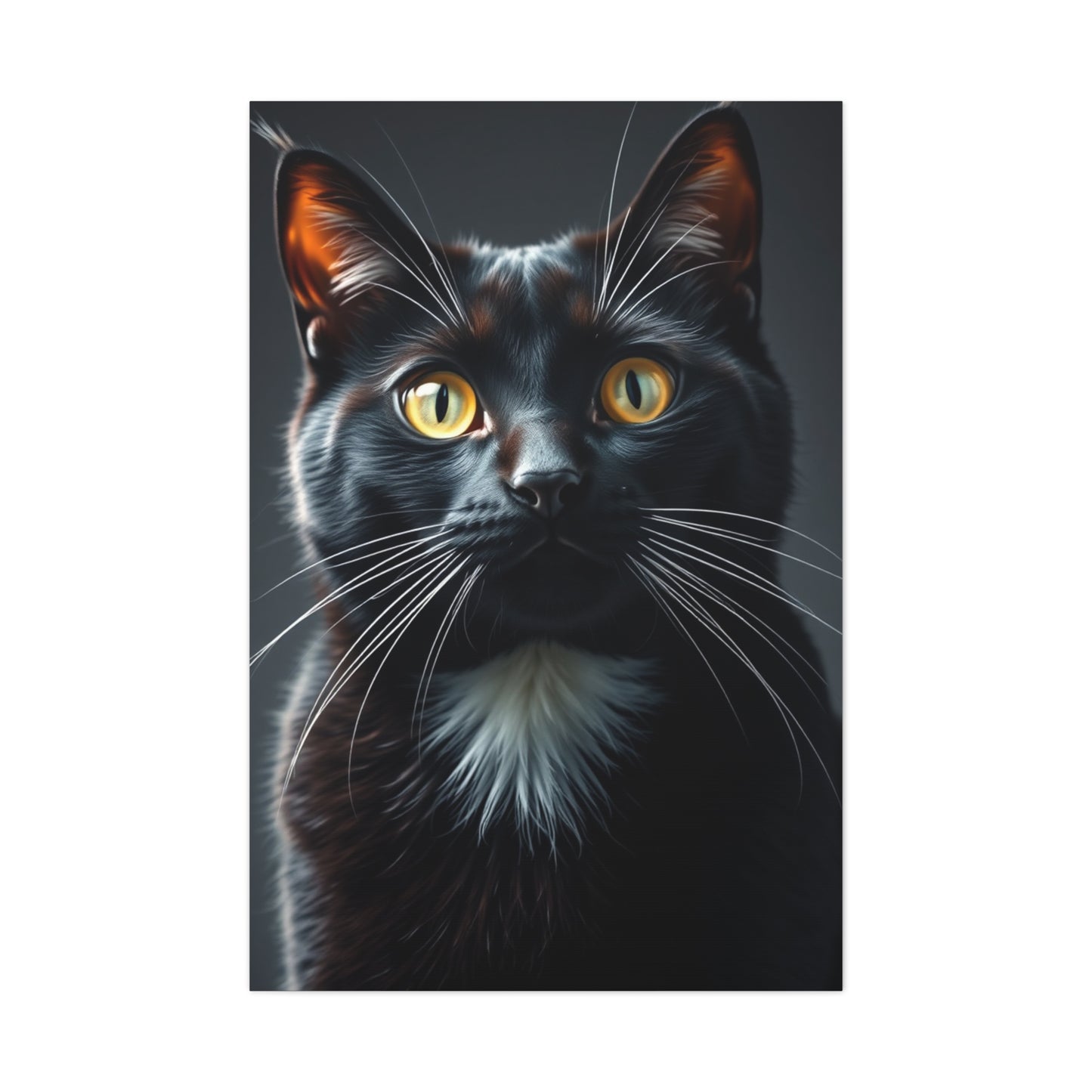 Supreme Tuxedo Cat Art Collection Wall Art & Canvas Print