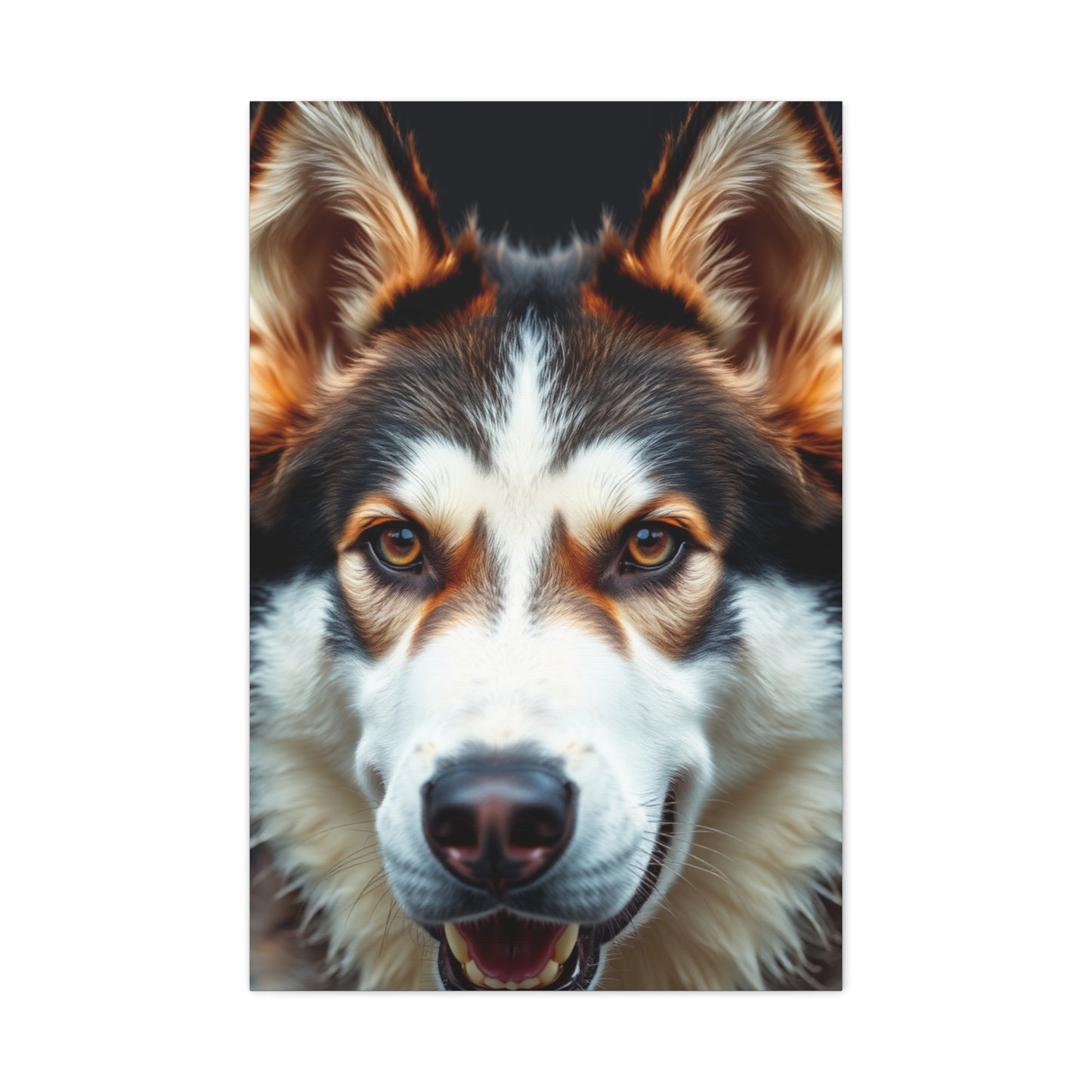 Regal Siberian Splendor