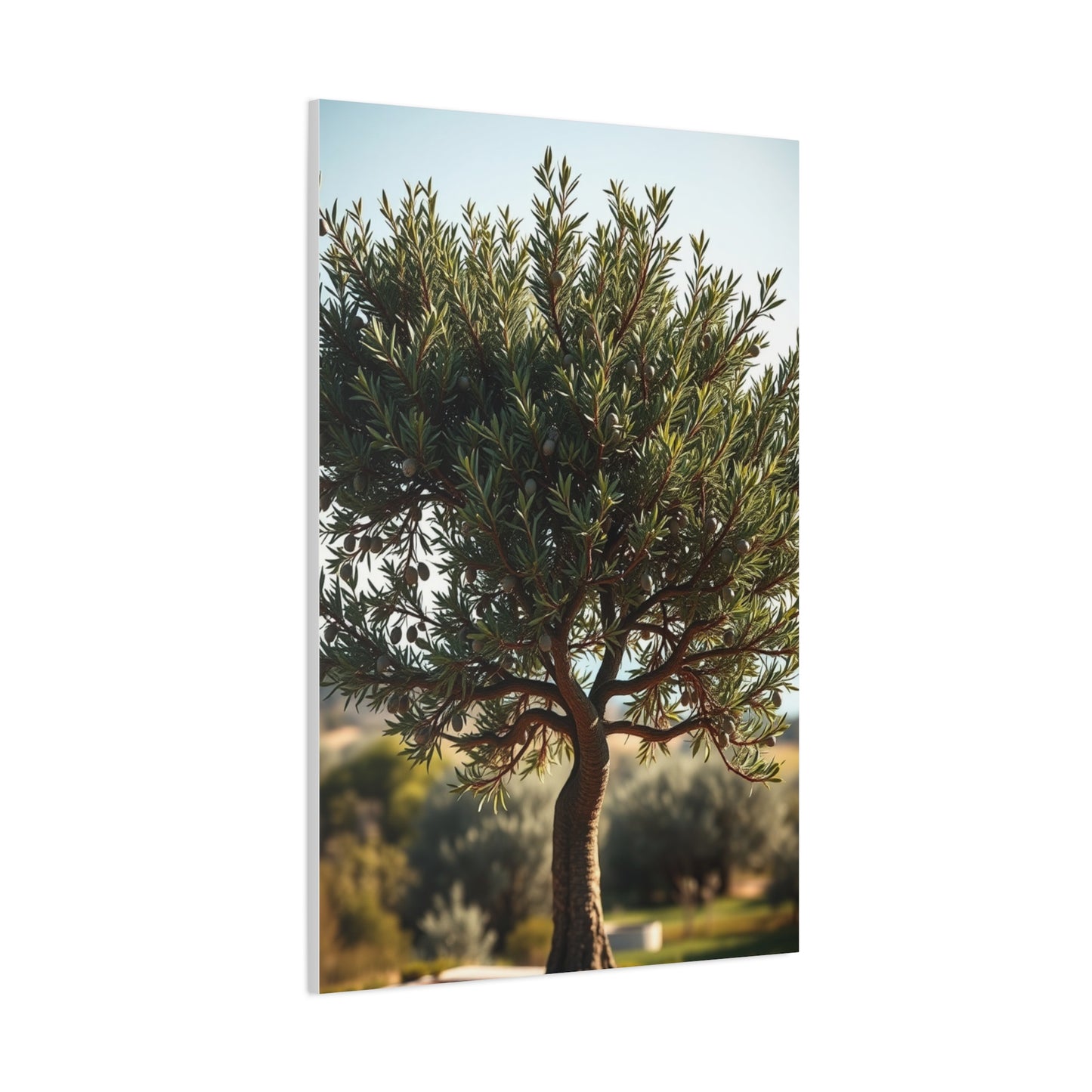 Supreme Olive Tree Art Collection Wall Art & Canvas Print