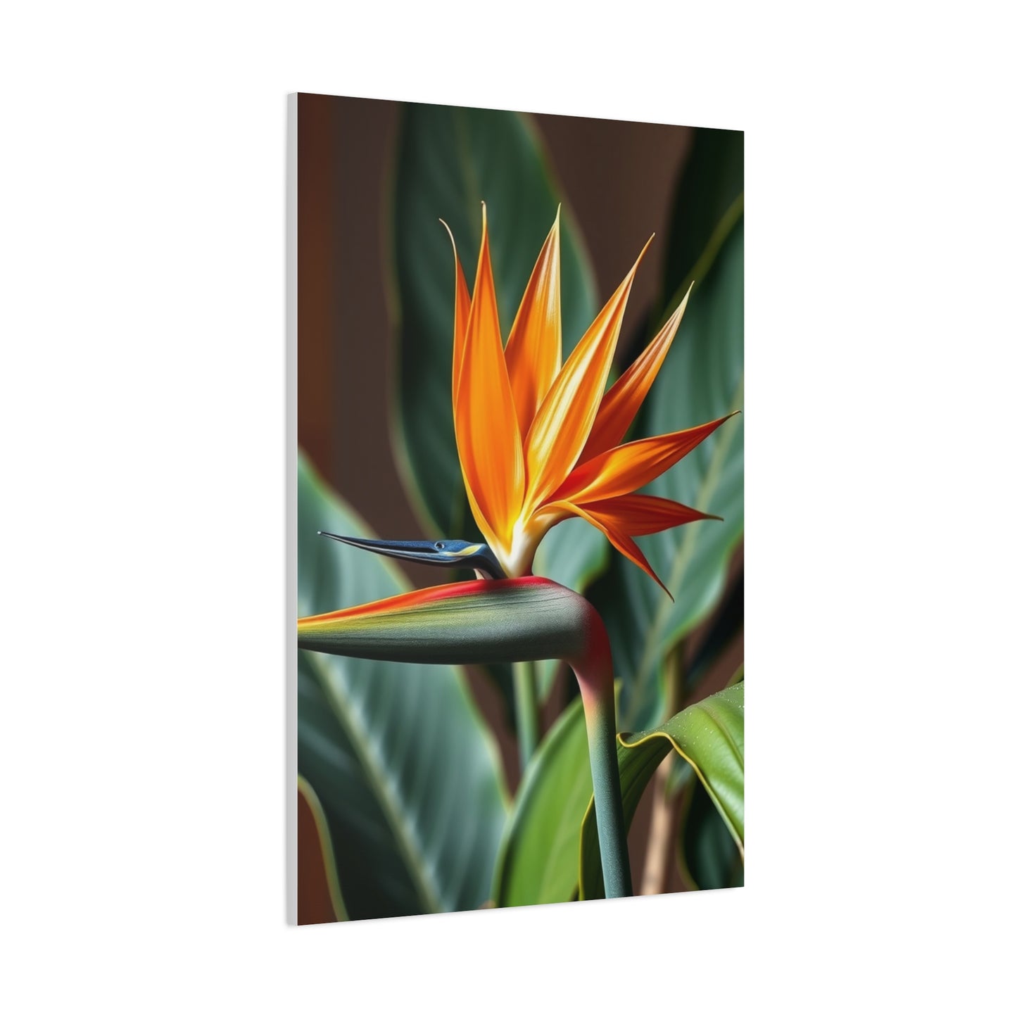 Elite Bird of Paradise Plant Art Vision Wall Art & Canvas Print